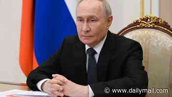 Putin is planning 'military provocation' of NATO states as he comes under pressure from Ukraine attacks, European spies say