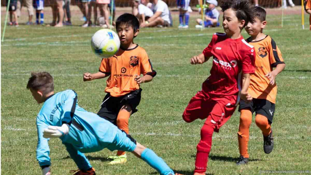 Wichtigste Einnahmequelle: Das bedeutet die Absage des Libella-Cups wirtschaftlich für den VfL Hochdorf