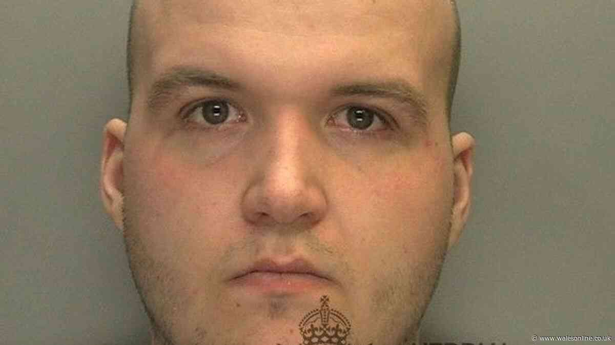 Man approached young girls in Cardiff park and offered to pay them for sex