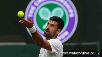 Full Wimbledon 2026 draw as Novak Djokovic, Serena Williams and Emma Raducanu learn fate