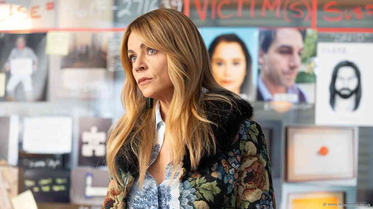 ‘Fantastic’ detective drama perfect for High Potential fans coming to Netflix