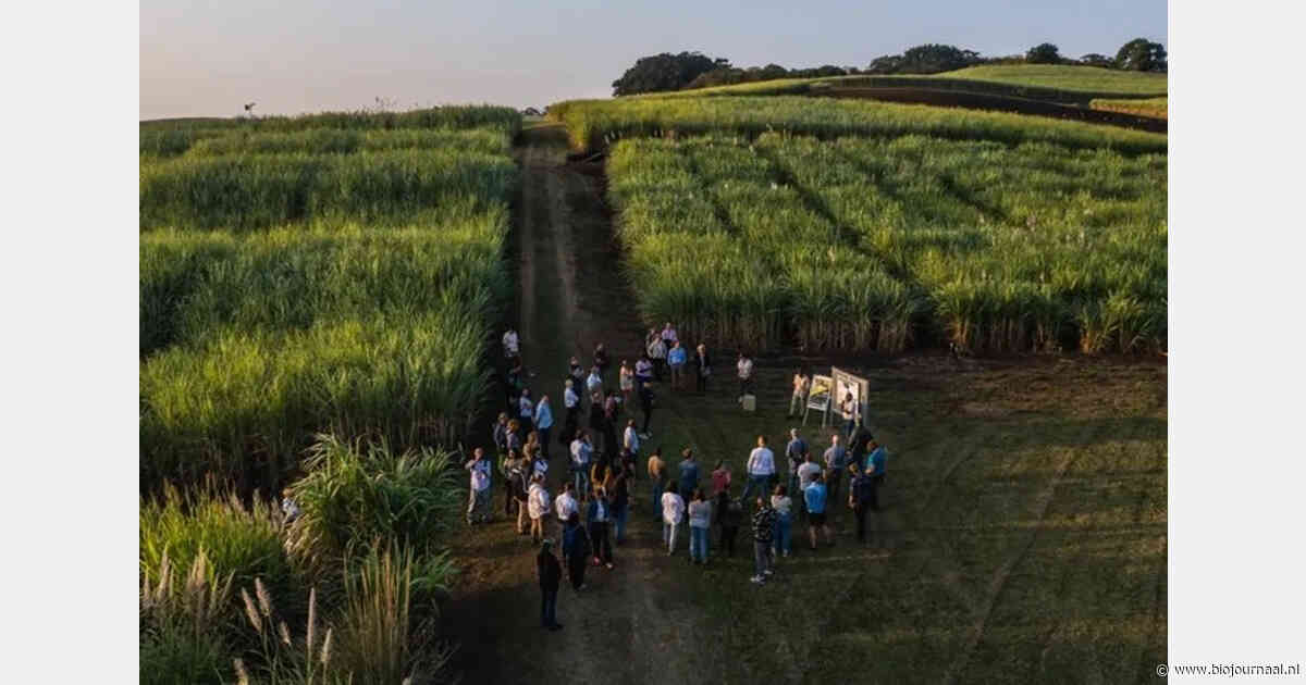 Voedselbedrijven lanceren wereldwijd raamwerk voor regeneratieve landbouw, discussie over definitie blijft