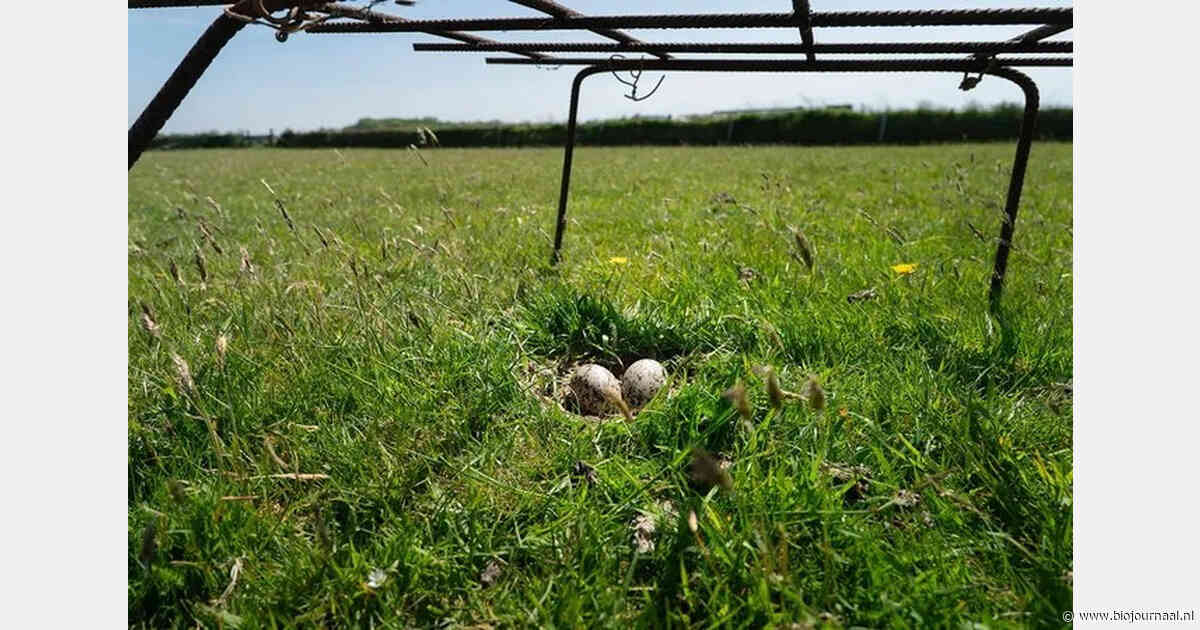 Noord-Hollandse boeren benadrukken rol van agrarisch natuurbeheer voor biodiversiteit