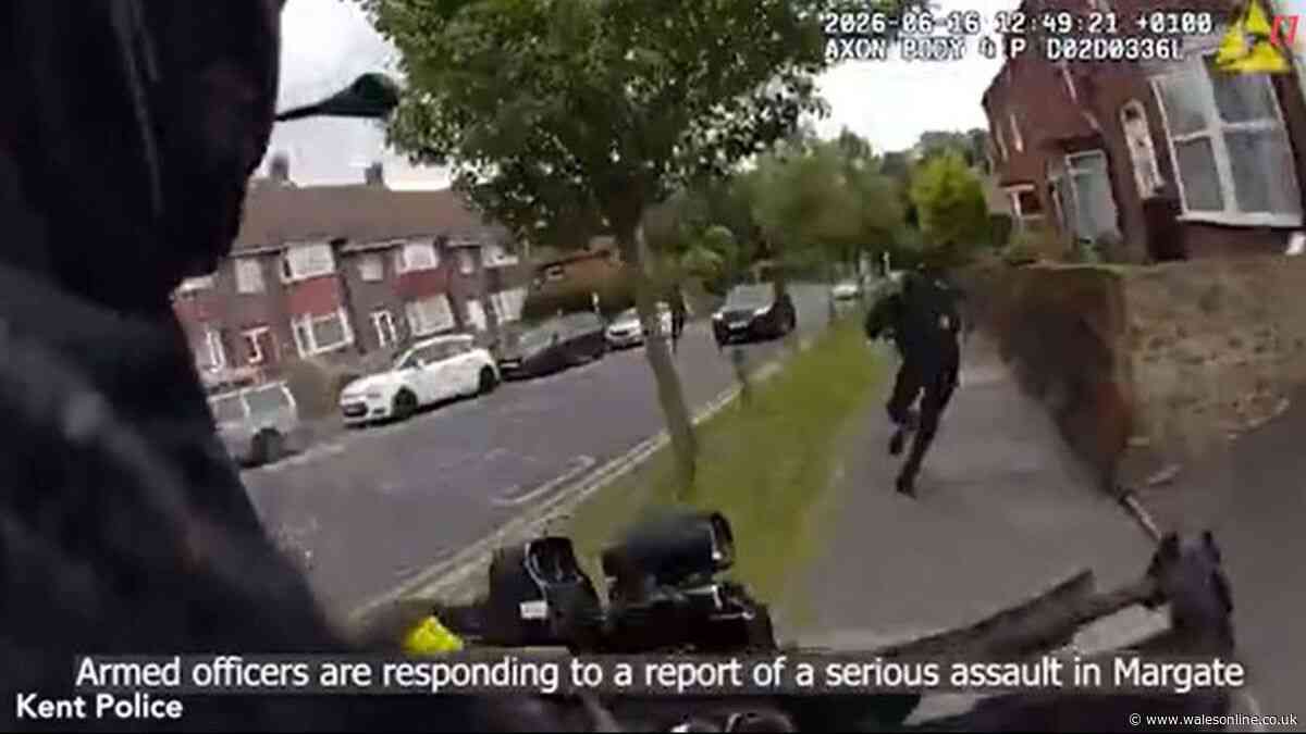 Watch the dramatic moment van driver shouts ‘Get in the back!’ and joins police chase