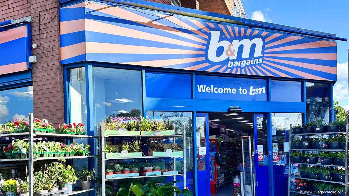 'Cupboards stay tidy' for £4 with B&M's 'space saving' kitchen organiser