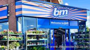 'Cupboards stay tidy' for £4 with B&M's 'space saving' kitchen organiser