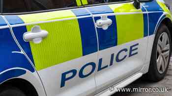 Two men dead and teen left fighting for life after horror crash on A13
