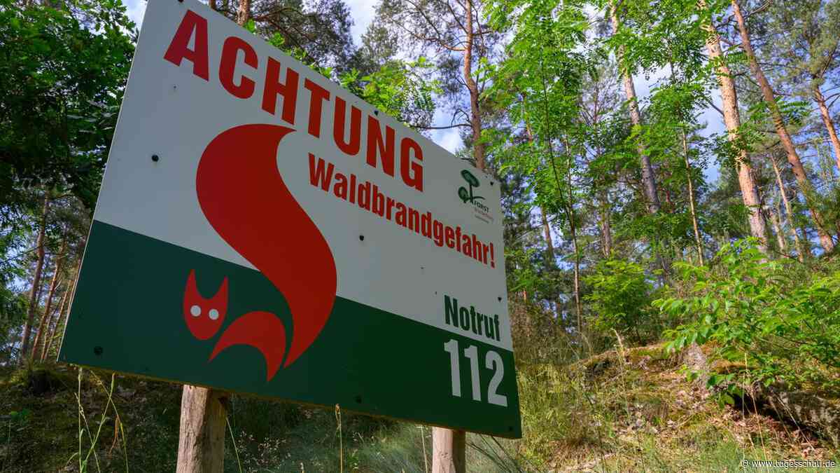Hitze-Liveblog: ++ Waldbrandgefahr steigt vielerorts auf höchste Stufe ++