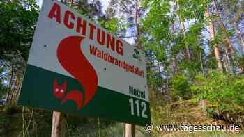 Hitze-Liveblog: ++ Waldbrandgefahr steigt vielerorts auf höchste Stufe ++