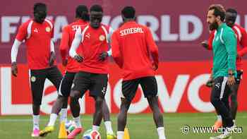 Senegal, Iraq fans get ready to cheer at Toronto Stadium's last World Cup group match