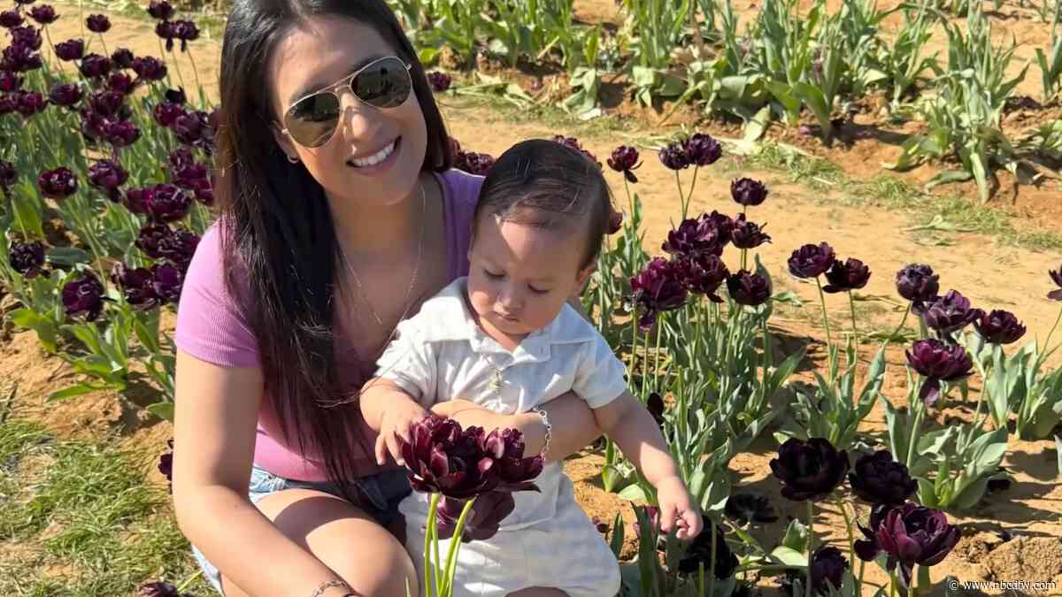 Local nonprofit helps mothers achieve homeownership