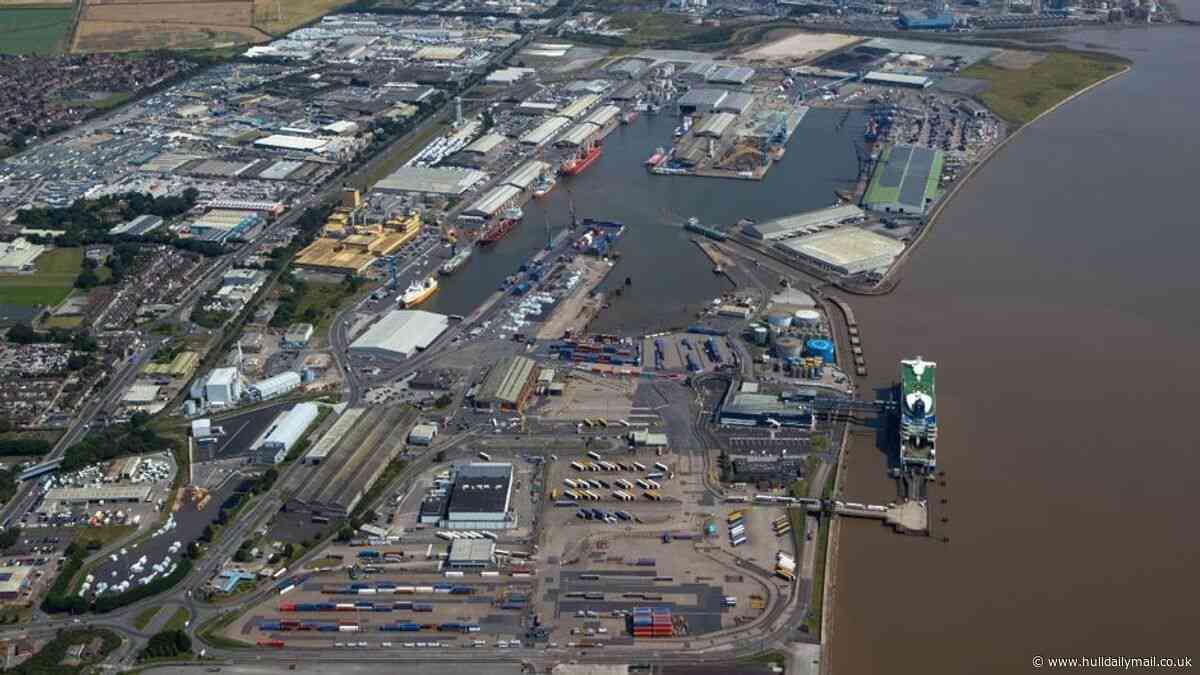 Plans for new Port of Hull turbine to go before the public