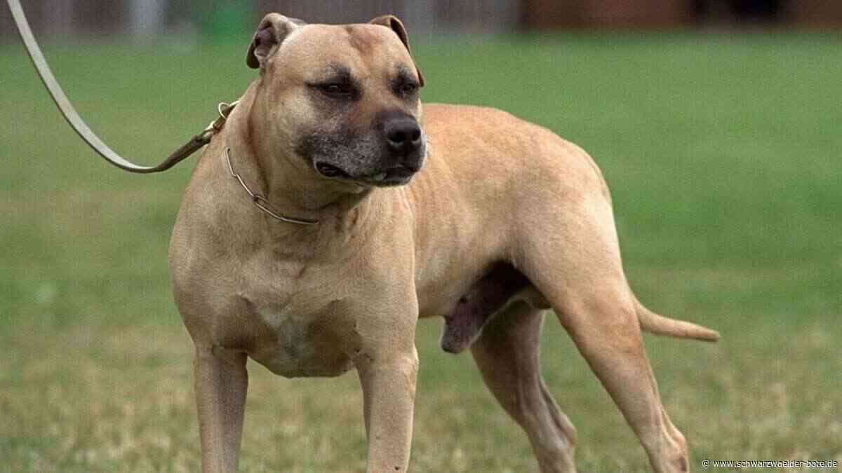 Gemeinderat Nagold: Vor dem Gesetz sind fast alle Hunde gleich