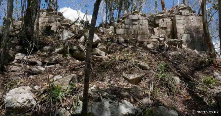 Lost Mayan city with sinister ‘decapitation’ carvings is discovered deep in the Mexican jungle