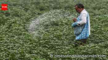 Green urea push: Centre plans 7.24 lakh MT green ammonia procurement to reduce fertiliser imports