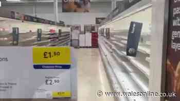 Supermarkets 'shut down' aisles of fridge units in heat - BBC expert says why