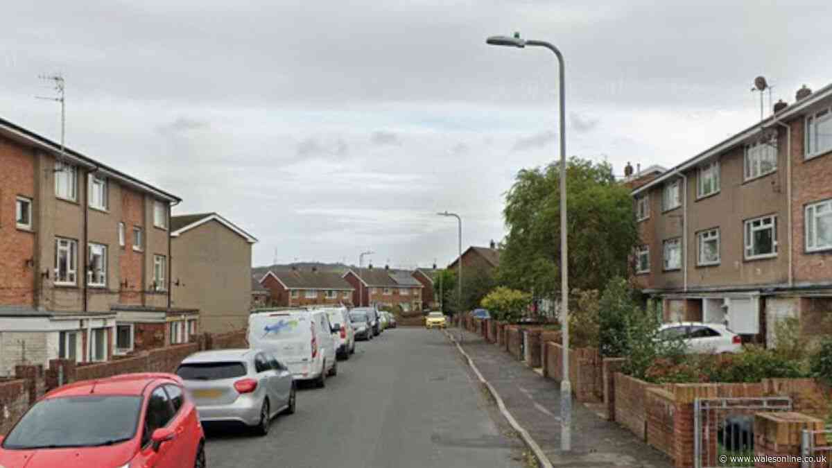 Young man found dead at friend's home after taking cocktail of drugs