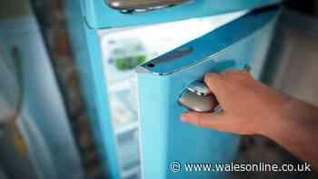 People in UK told to put one item in freezer by tonight