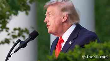 Trump: ‘Communists are finally making their move’