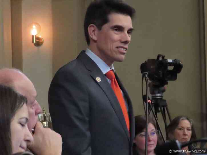 Kingston city councillor's website under scrutiny