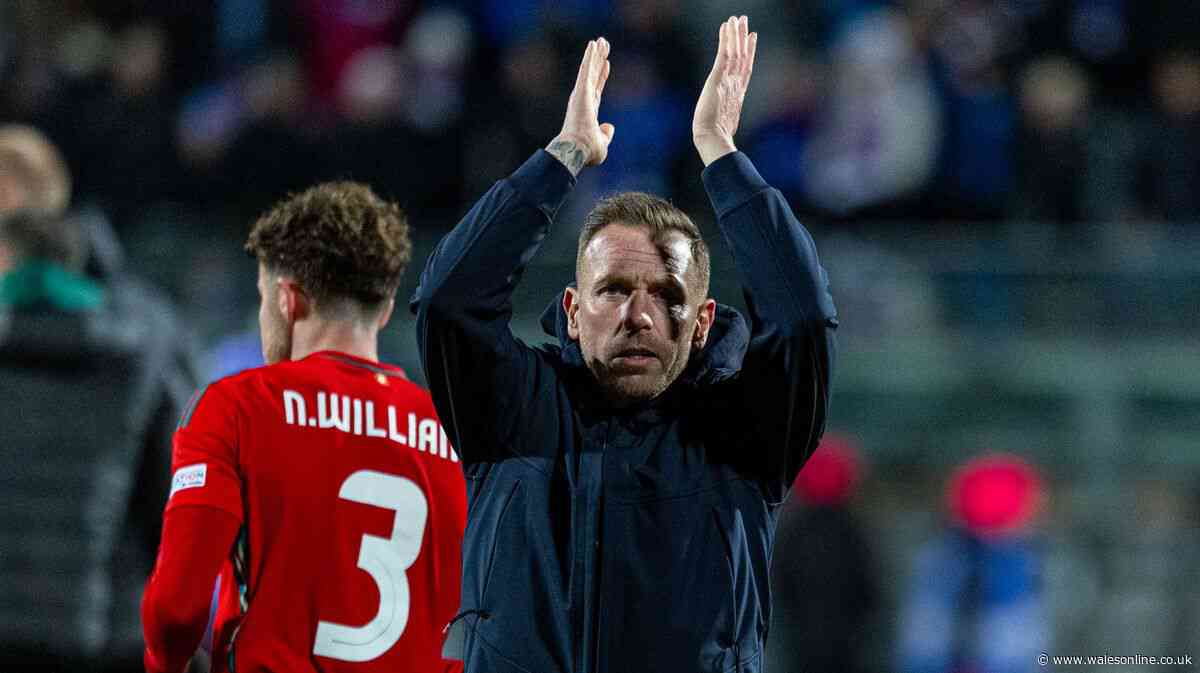 Craig Bellamy's dramatic decision has exposed the true feelings of too many Wales fans