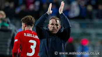 Craig Bellamy's dramatic decision has exposed the true feelings of too many Wales fans