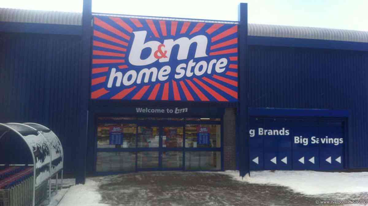 B&M's £20 fan that 'never lets you down' - with 3 speed settings