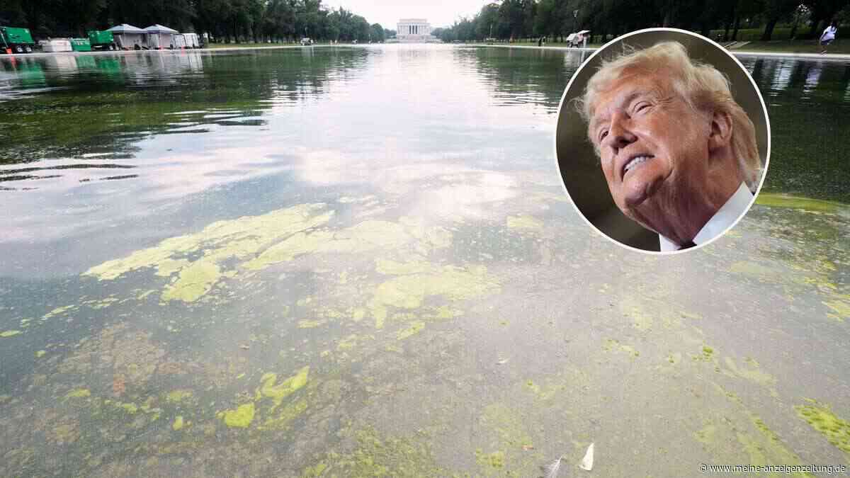 Rätsel um Schwimmbecken-Schaden: Experte nennt Faktoren – war die Präsidentenkolonne schuld?