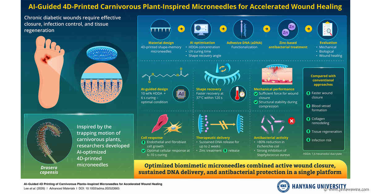 Hanyang University Researchers Develop AI-designed Shape-Shifting Microneedles for Diabetic Wound Healing