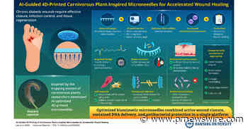 Hanyang University Researchers Develop AI-designed Shape-Shifting Microneedles for Diabetic Wound Healing