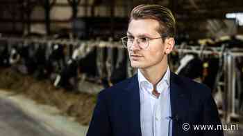 Live stikstof | Kabinet wil maximaal 2,6 koeien per hectare