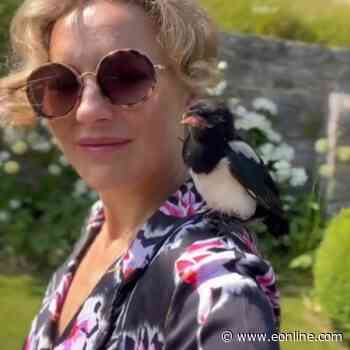 Ladies of London’s Martha Sitwell Shares Her Pet Bird Hecate Drowned