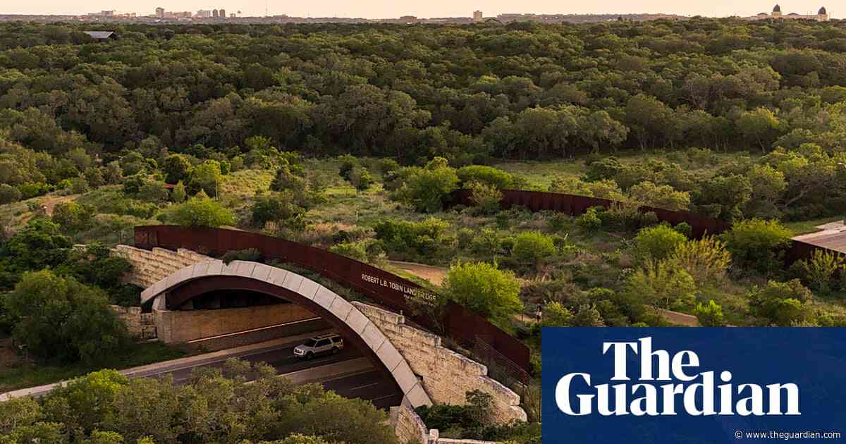 In pictures: a San Antonio land bridge designed for wildlife and people