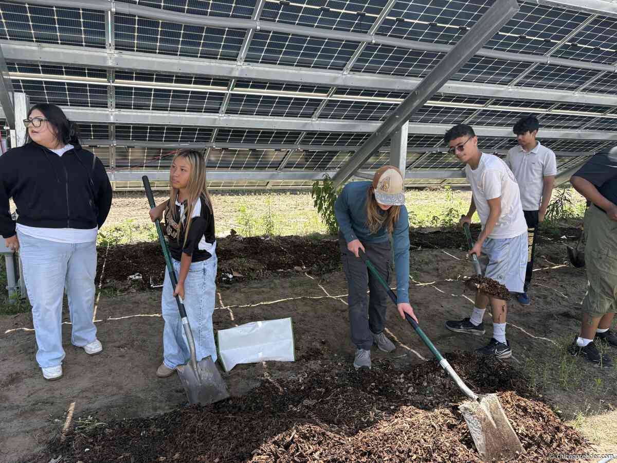 Chicago youth fight for a better future through the summer Environmental Justice Freedom School