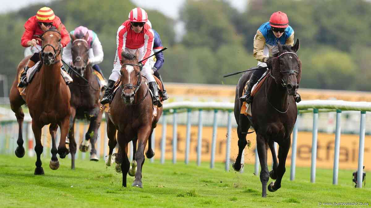 Horse Power: Ride The Thunder can win the Northumberland Plate at Newcastle