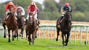 Horse Power: Ride The Thunder can win the Northumberland Plate at Newcastle