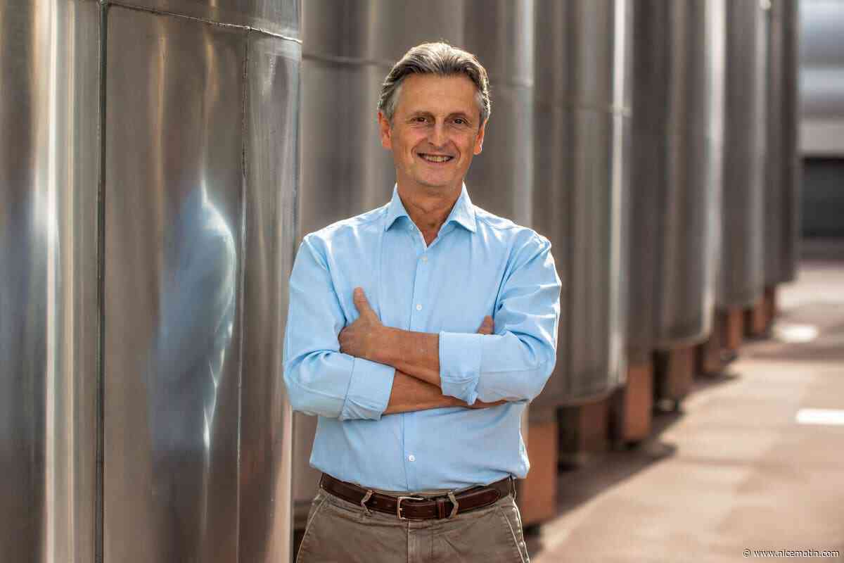 « On va prendre des mesures de régulation » : le Cluster Provence Rosé qui réunit les professionnels de la filière veut limiter la surproduction de vin AOP