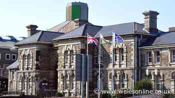 Man found dead in friend's car just two days after release from Swansea prison