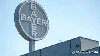 Supreme-Court-Sieg für Bayer – So wollen die Monsanto-Kläger darauf reagieren