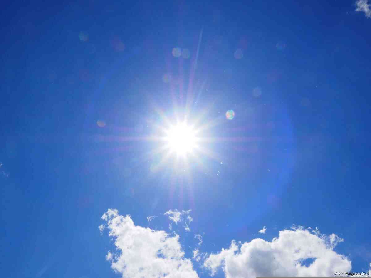 Bocca asciutta, urine scarse e sonnolenza: come riconoscere i colpi di calore nei bambini e come proteggerli