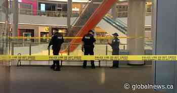 Man dead after falling from escalator at Toronto mall
