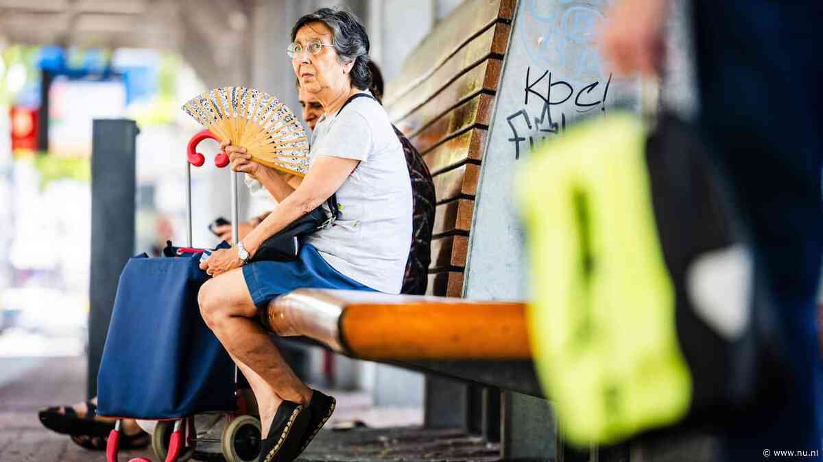 Live hitte | Zeldzame temperatuur van 39 graden gemeten in Limburgse Horst