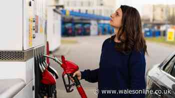 UK drivers 'need to check' fuel prices this weekend in new update