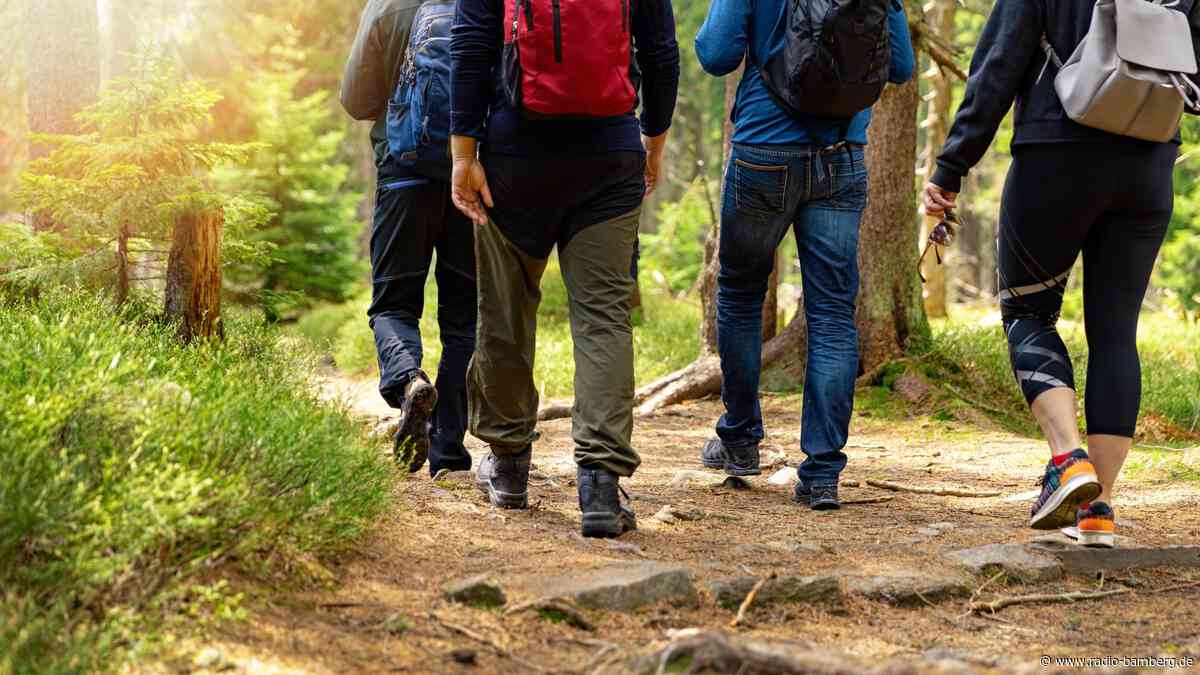 Baumunfall von 2023 wirkt nach – weniger Angebote für Wanderer