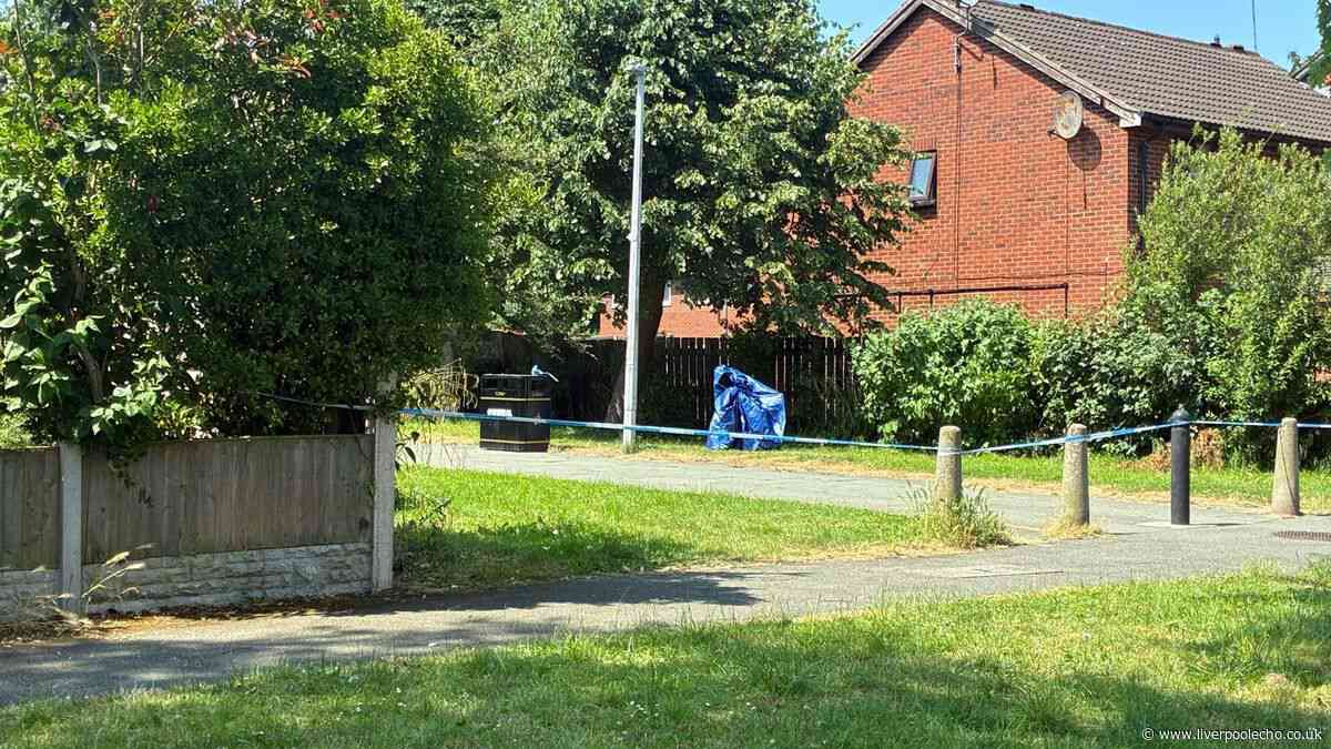 Schoolboy shouted 'mum, someone's been stabbed' as man attacked in Woodchurch