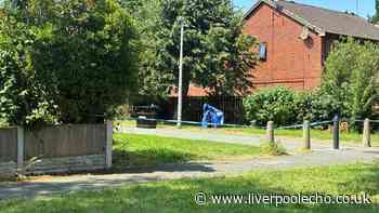 Schoolboy shouted 'mum, someone's been stabbed' as man attacked in Woodchurch