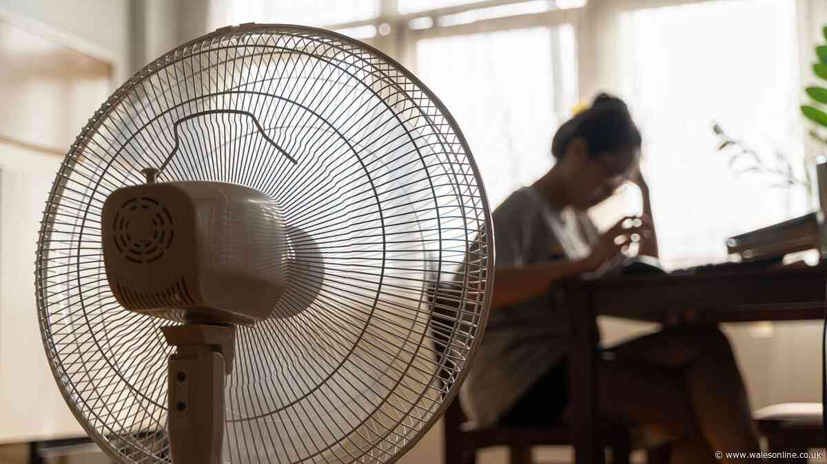 How to cool your house fast after a heatwave using the 'flushing' technique