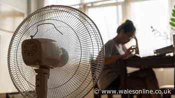 How to cool your house fast after a heatwave using the 'flushing' technique