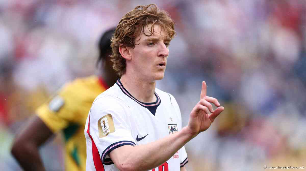 Newcastle United 'must be rubbing their hands' after securing £69m before World Cup nightmare