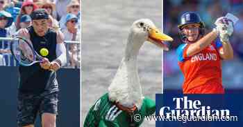 Sports quiz of the week: heat, animals, money and a big week at the World Cup